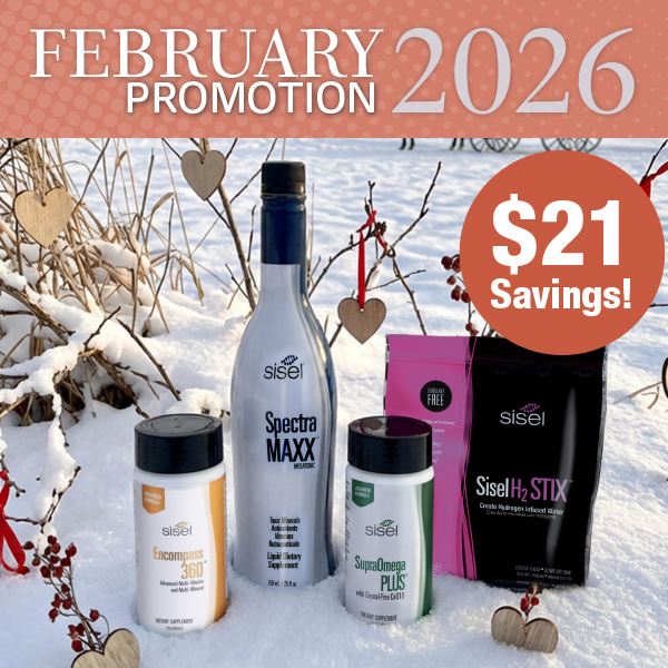 February 2026 Promo - 