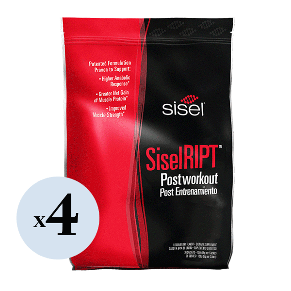 SiselRIPT™ Lemon Berry (4 Pack) - Post-Workout