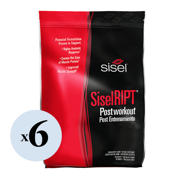 SiselRIPT™ Lemon Berry (6 Pack) - Post-Workout
